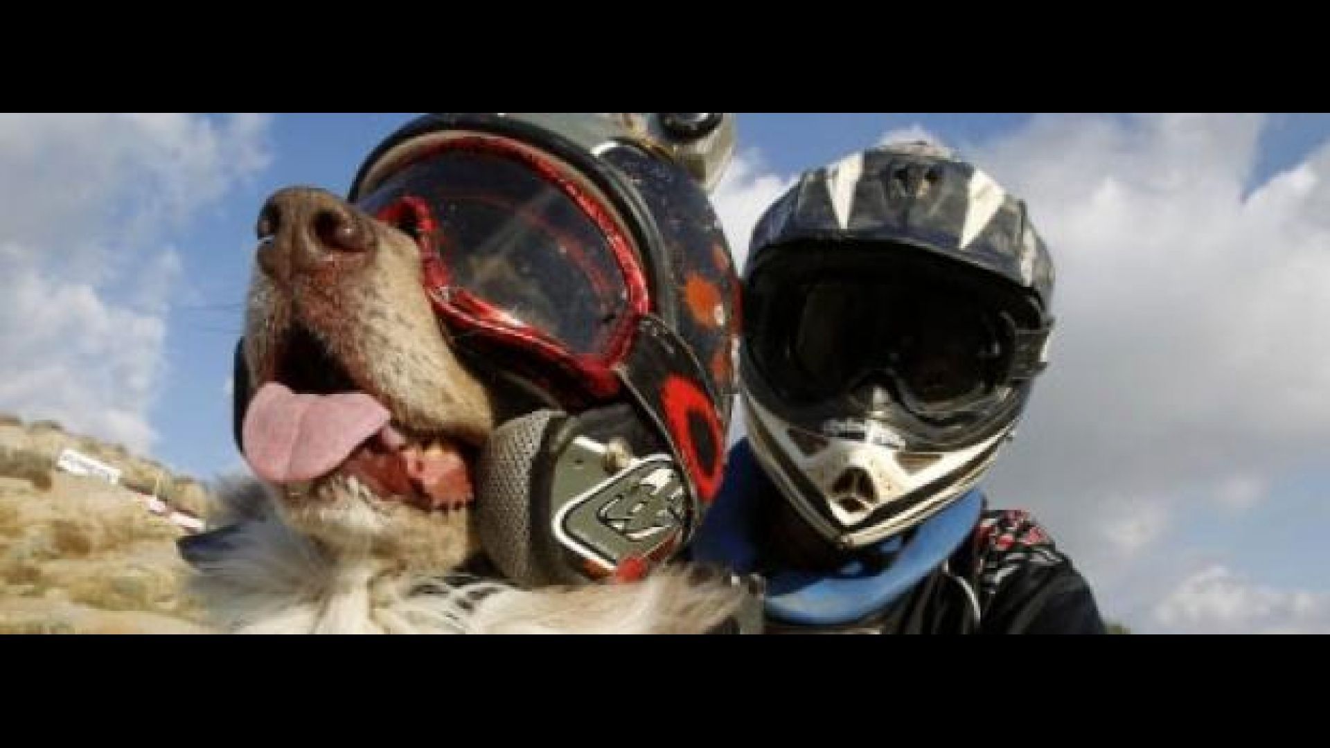 Moto - News, Opee, il cane che fa motocross