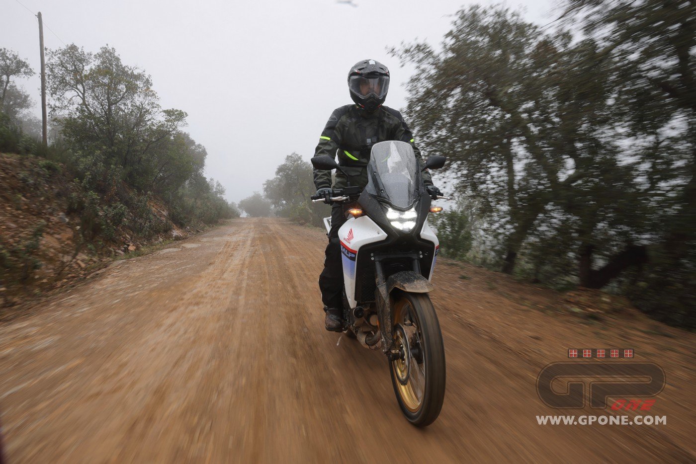 HONDA HORNET 600 (2006): È ANCORA LEI LA VERA HORNET? 😍 - Test Ride ITA 