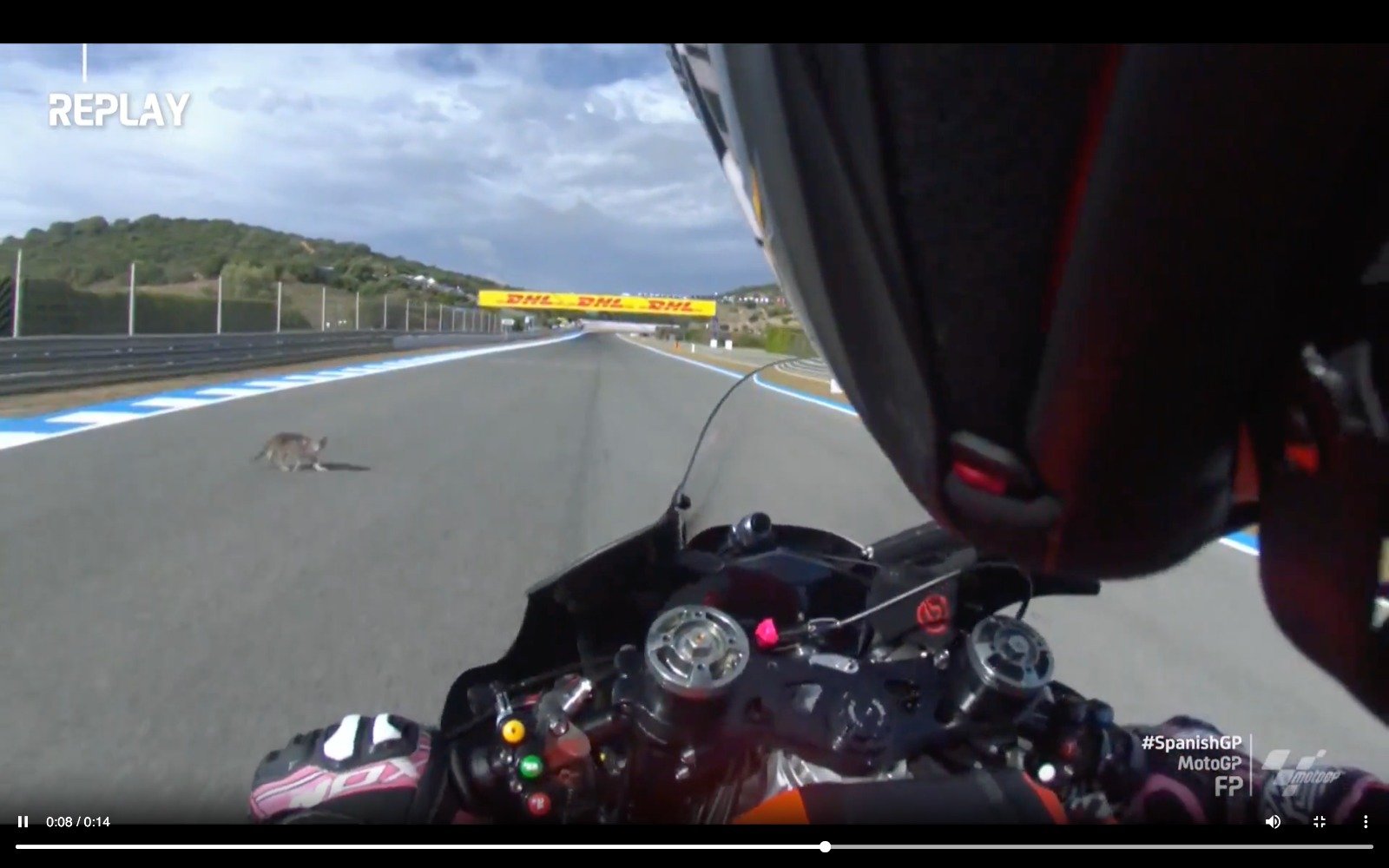 MotoGP, A (not black) cat cuts across the track, Aleix Espargarò falls at next lap GPone