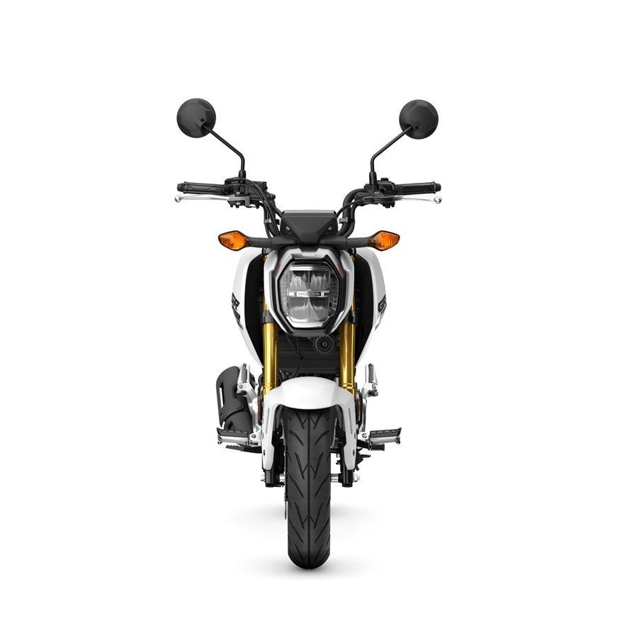 Moto News Honda MSX 125 Grom 2025 rinnovata la simpaticissima moto GPone